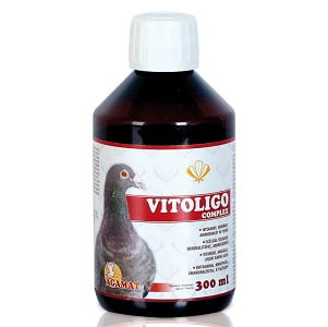 VITOLIGO – witaminy, minerały, aminokwasy w płynie