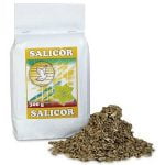 SALICOR – herbata z kory wierzby